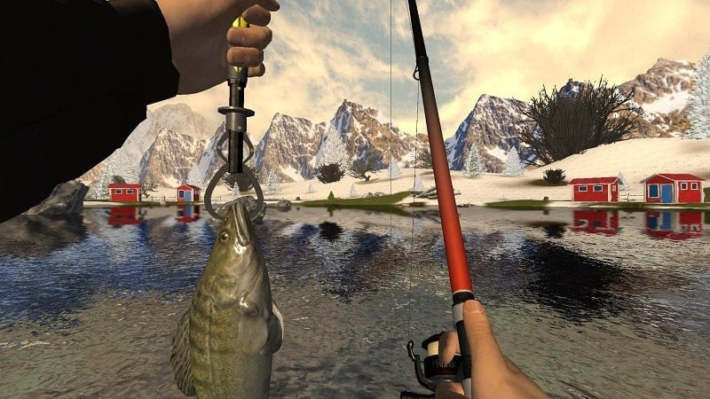Professional Fishing MOD APK